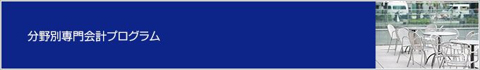 分野別専門会計プログラム